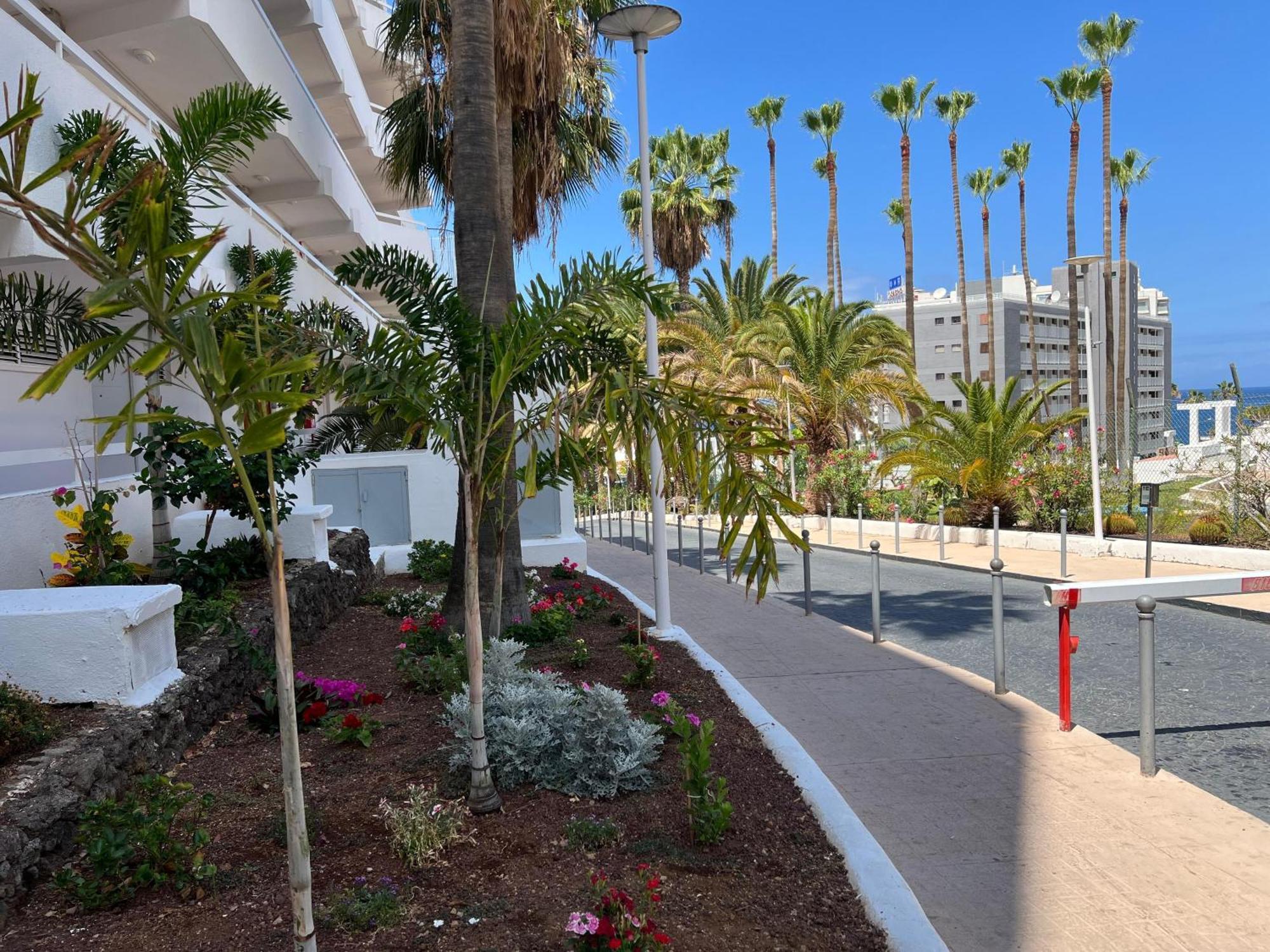 Tenerife Sea View 216 ปลายา ฟัญญาเบ ภายนอก รูปภาพ